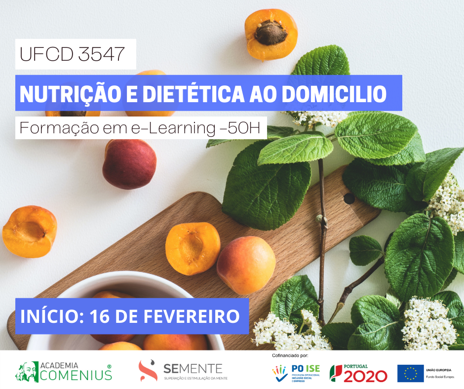 Formação financiada e-learning SEmente