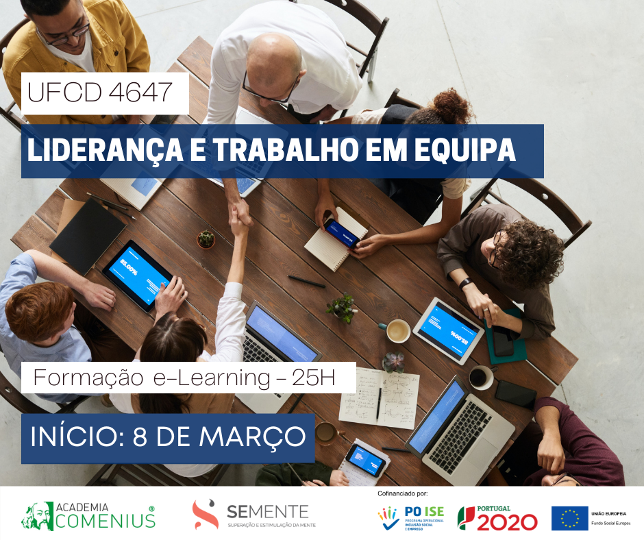 Formação financiada e-learning SEmente