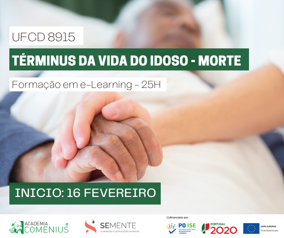 Formação financiada e-learning SEmente